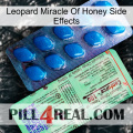 Leopard Miracle Of Honey Side Effects new02